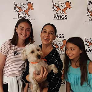 3 Pets were adopted today 11/11/19 WAGS