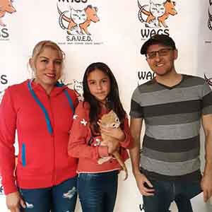 family adopt a kitten at WAGS