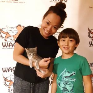 cute kitten were now adopted WAGS
