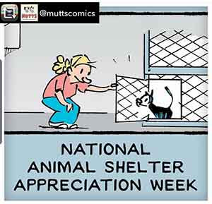 national pet adoption week 2019