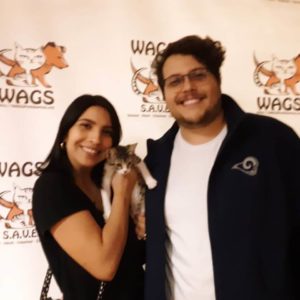 kitten is now adopted at wAGS