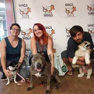 3 lovely dogs adopted at WAGS