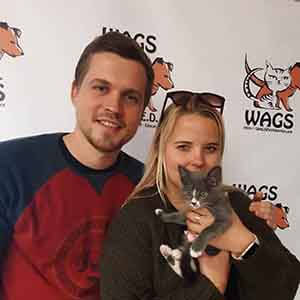 couples adopt a cute little kitten WAGS