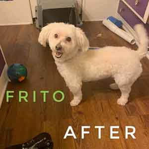 frito after groom WAGS