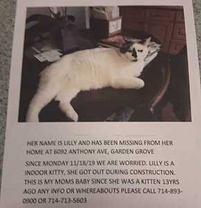 COURTESY Post! PLEASE HELP FIND LILLY