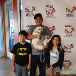 lovely siblings adopt a dog WAGS