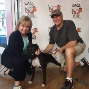 great dog adopt by elderly couple