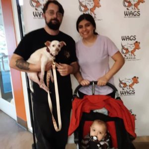 cute family adopt a cute dog WAGS