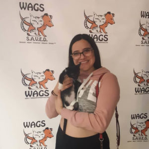 happy cat adopt at WAGS