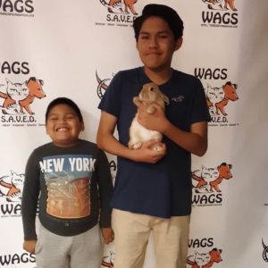 happy kid and bunny adopted at WAGS