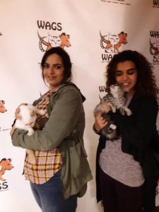 two kittens adopt by two lovely girls at wags