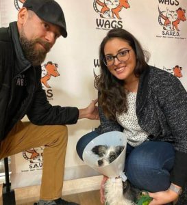 wags dog is ready on new home