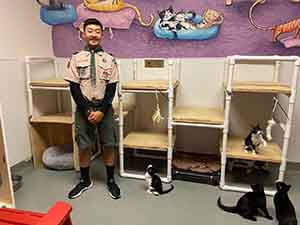 volunteer boy scout with the cats at wags