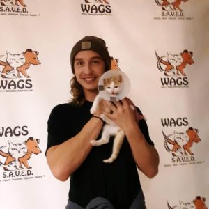 cute kitten is now adopted at wags