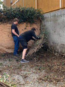 wags volunteer clean hedge