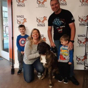 lovely family adopt a big dog at wags