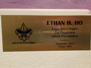 ethan h ho boy scout wags