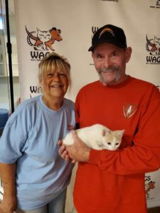 two old couple adopt a cat at wags
