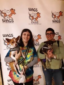 taquito is now adopted at wags