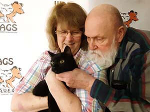 swett elderly adopt a black cat at wags