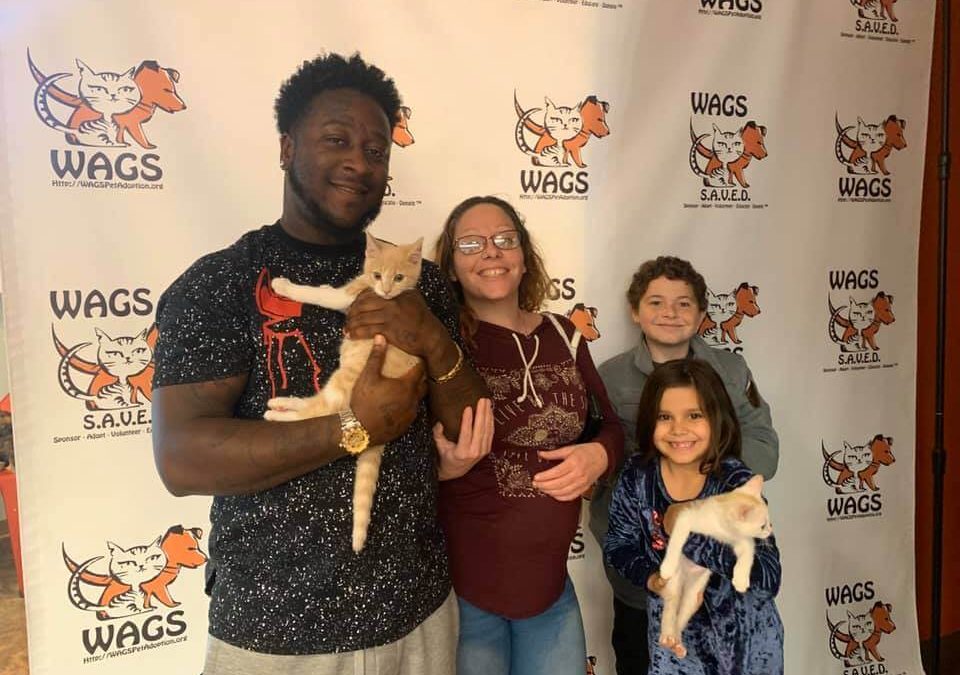 sweet family adopt two cats at wags
