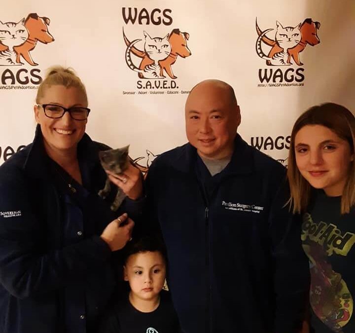 sweet family got a kitten adopted at wags