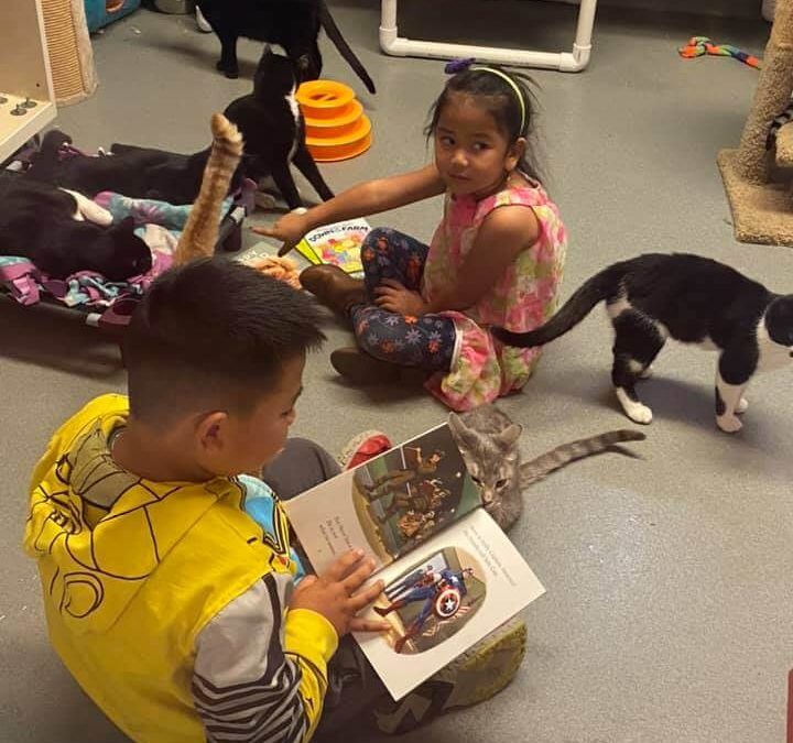 kids reading to cats at wags