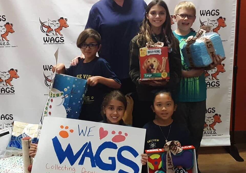 lake view of school donate at wags