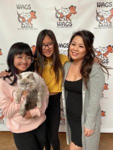 sisters adopt new wags cat