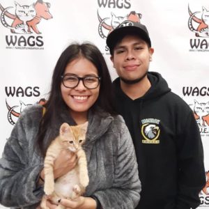 couple adopt a cat at wags