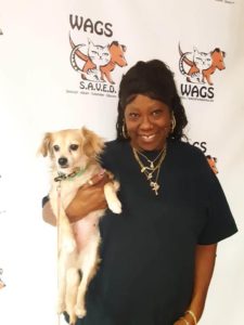 great wags dog now adopted
