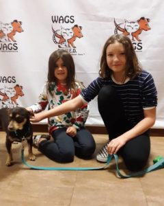 Holiday WAGS adoption two sisters