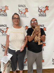 welcome smile wags cat adopted 