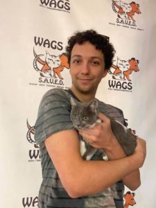 guy adopted a cat at wags