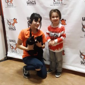 holiday cat adoption day WAGS