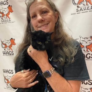 black cat WAGS adoption holiday