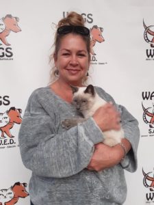 cute pose and warm hugs for adopted cat wags