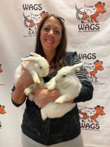 two white rabbit adopted by sweet lady
