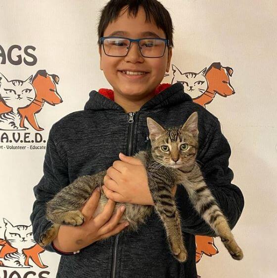 young guy happy adopt a cat at WAGS