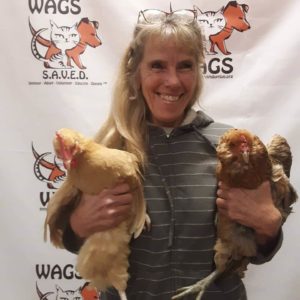 adopted roosters blond women