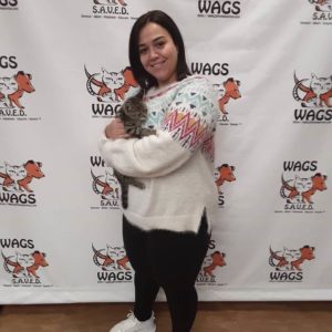 cute white sweater woman adopted cat