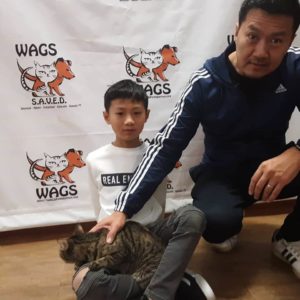 cat playful on legs of boy dads way hold