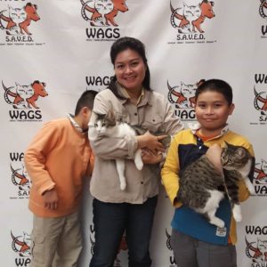 two cats adopted for these boys