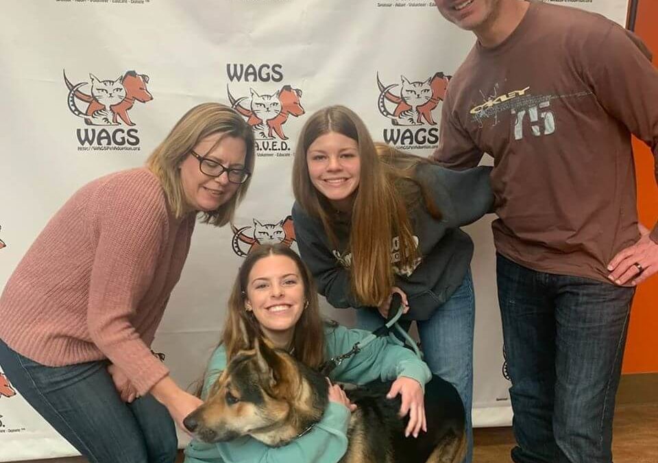 6 Adopted Pets January 13 2020