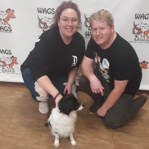couple adopted black and white dog camery shy looking sideways