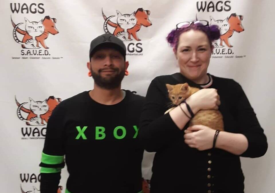 couple adopted cat guy with xbox shirt