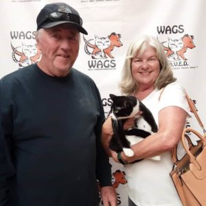 cap dad and blonde mom adopts a bicolor black and white cat