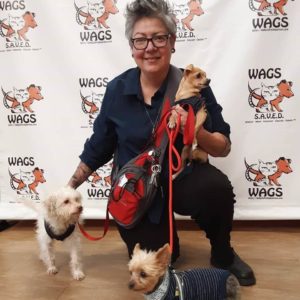 three puppies adopted woman red leashes