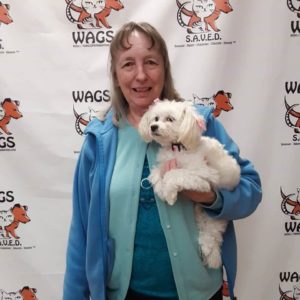 woman in bluee sweater and shirt adopted white puppy