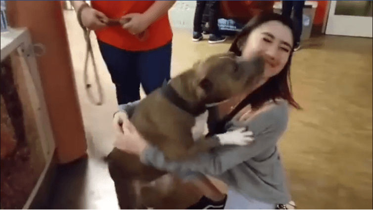 after 1 year meetup dog kisses mom